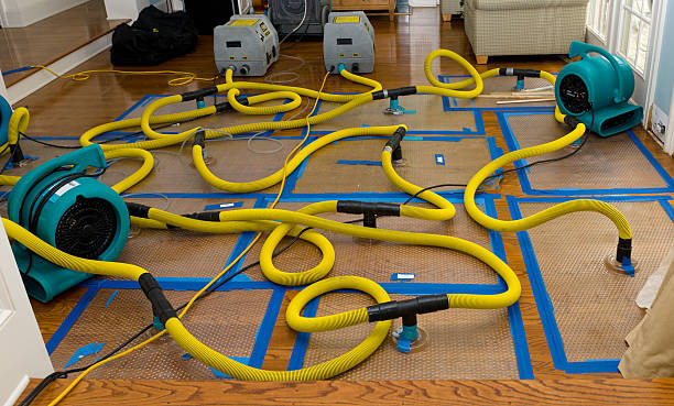 Professional Structural Drying And Dehumidification technician working in Bridgeport, IL
